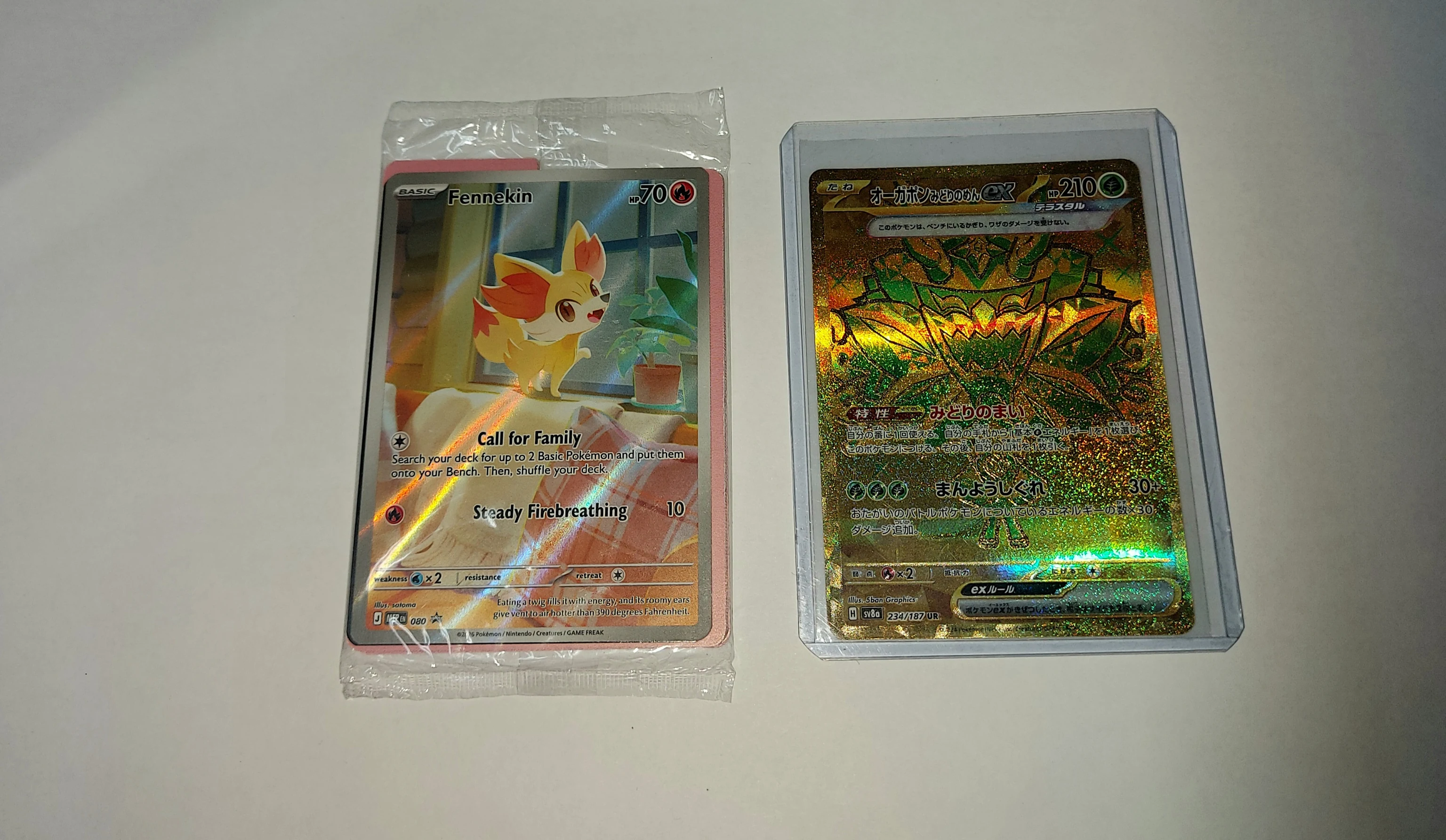 Chaos rising promo Fennekin sealed and Teal Mask Ogerpon ex image 1