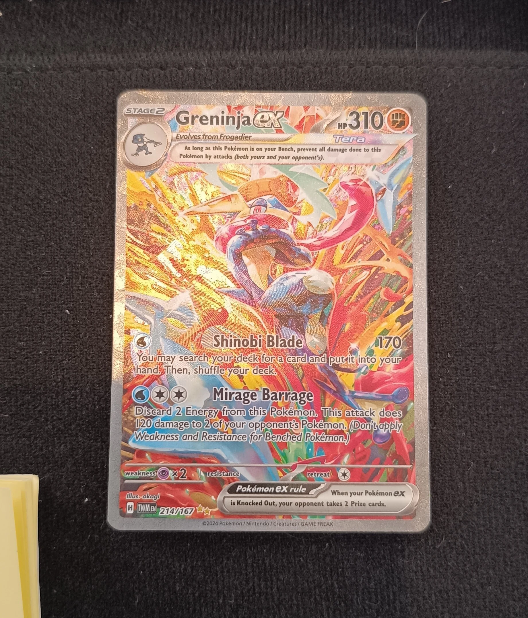 Raw Greninja SIR image 1