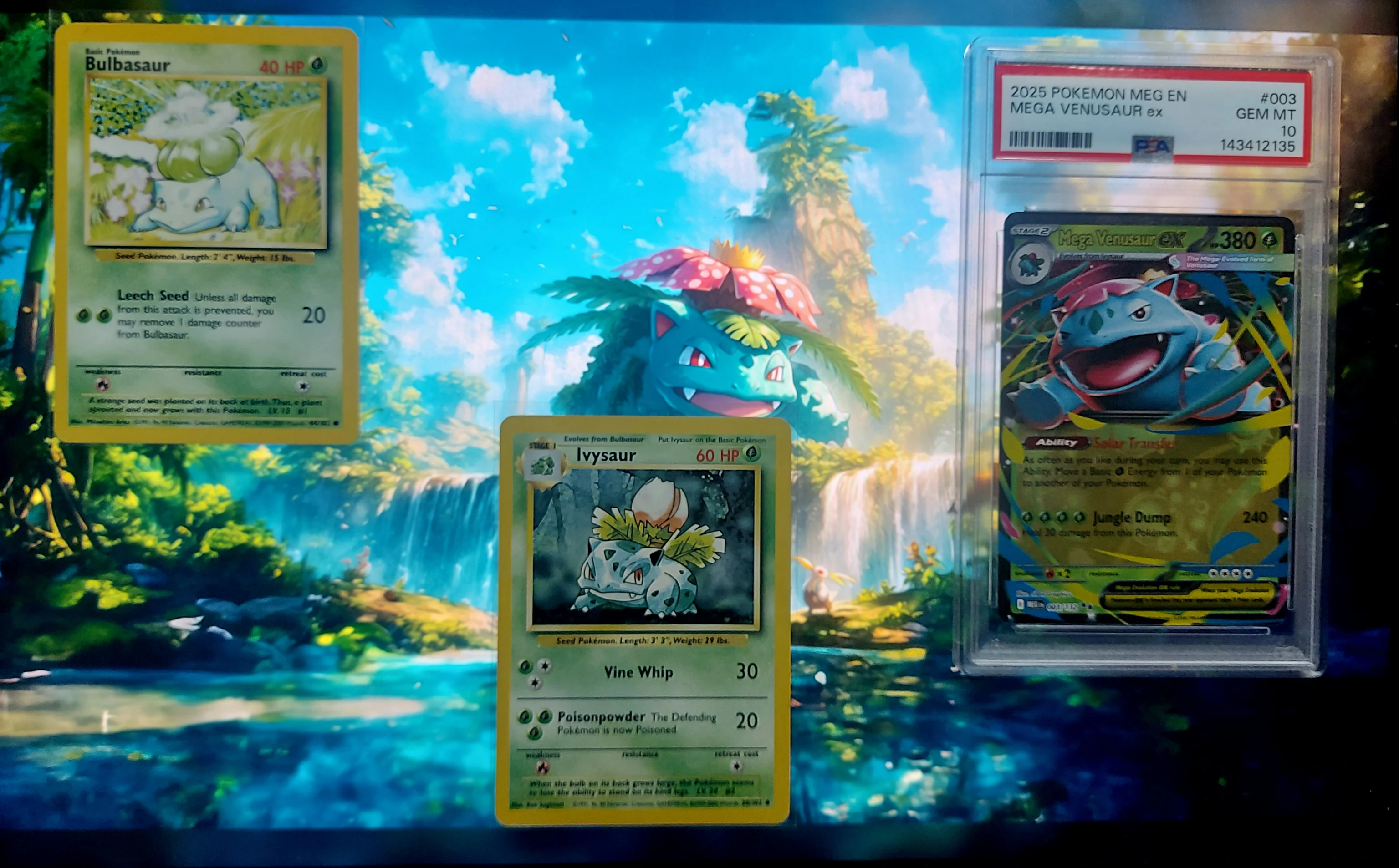 🍀Bulbasaur evolutions image 1