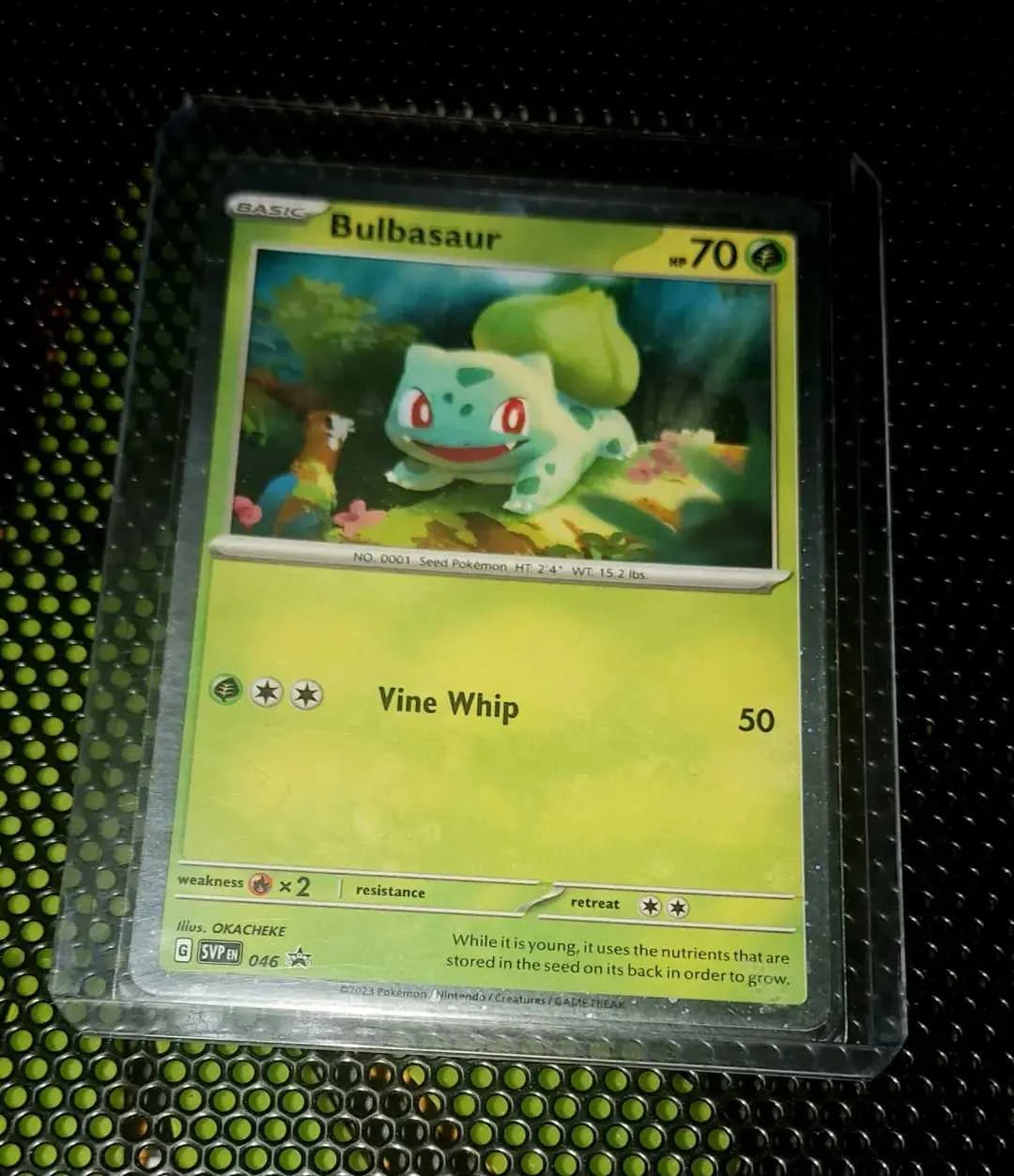 🔥Mega Venusaur EX PSA 10, Vintage Ivysaur & Promo Bulbasaur🔥 image 4