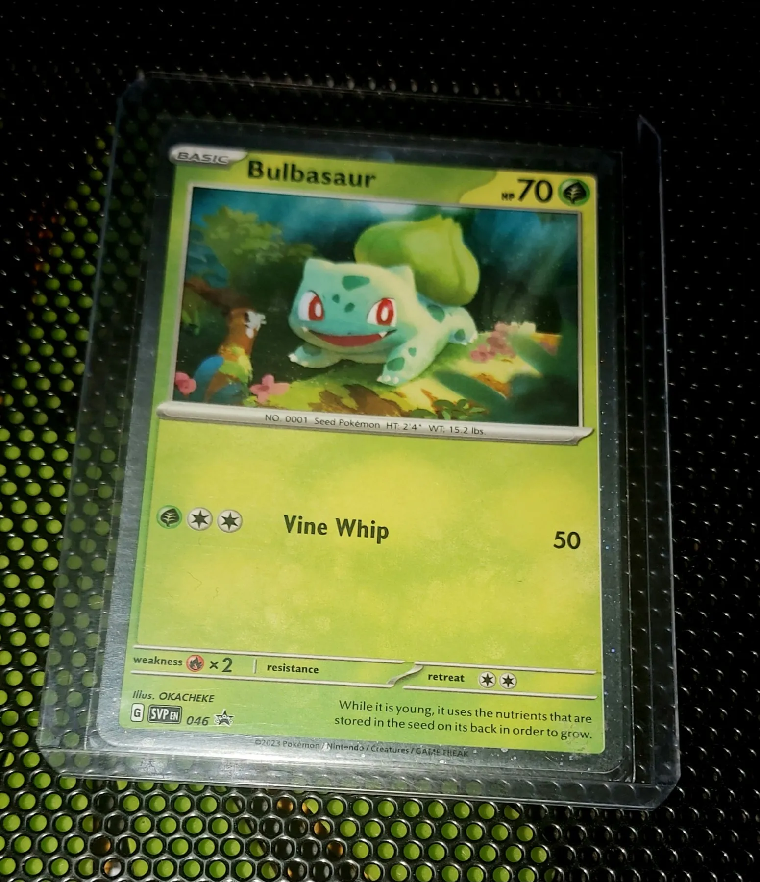 🔥Mega Venusaur EX PSA 10, Vintage Ivysaur & Promo Bulbasaur🔥 image 4