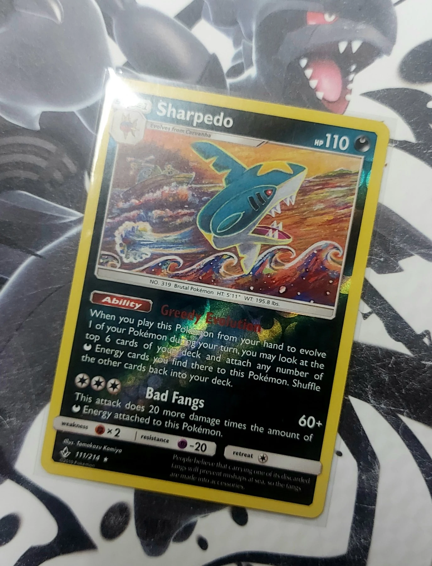 Sharpedo 2019 reverse holo image 4