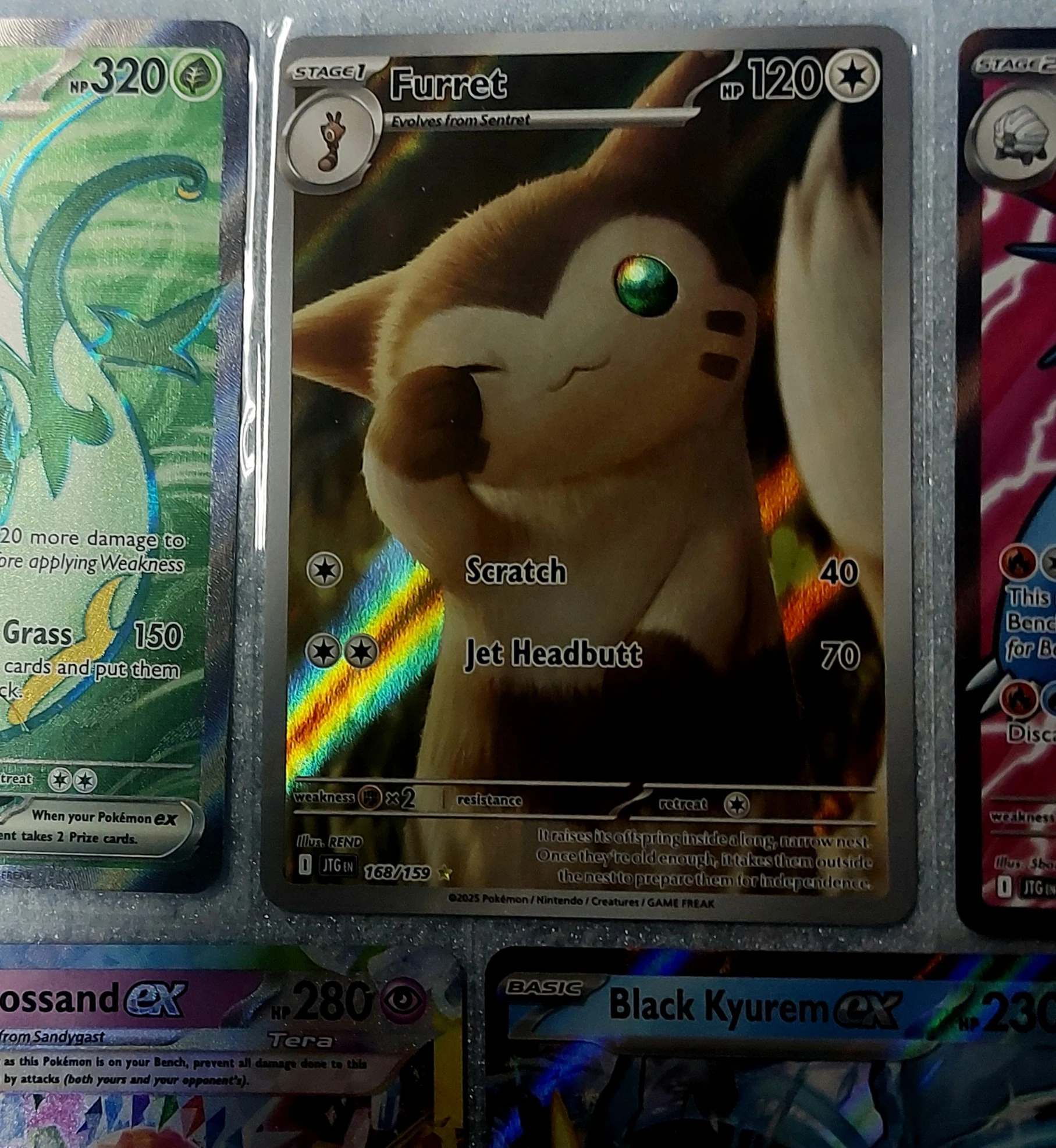 Furret IR pokemon lot image 2