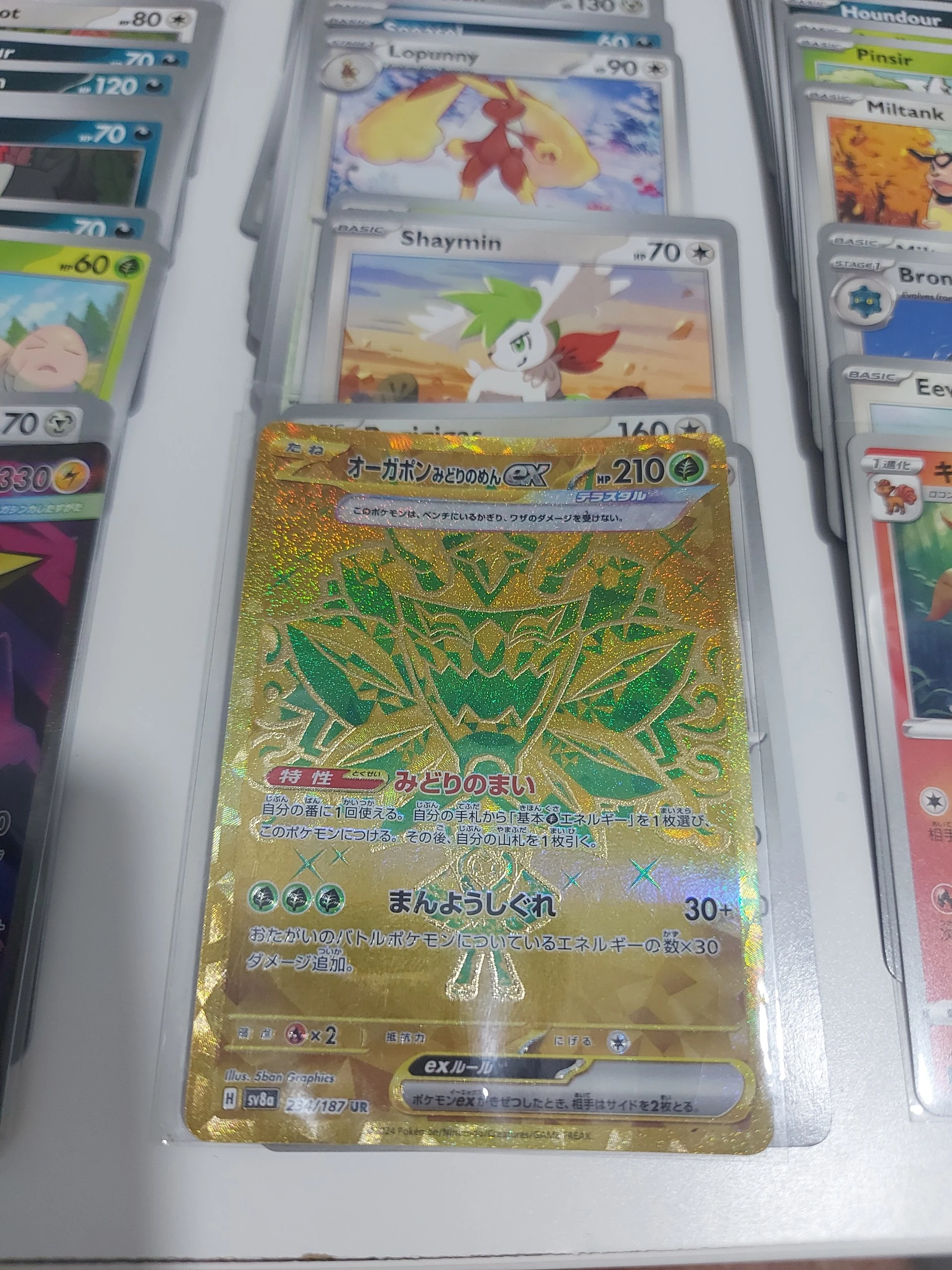 Vintage Gastly, golden teal mask ogerpon, ninetales, fullarts image 2