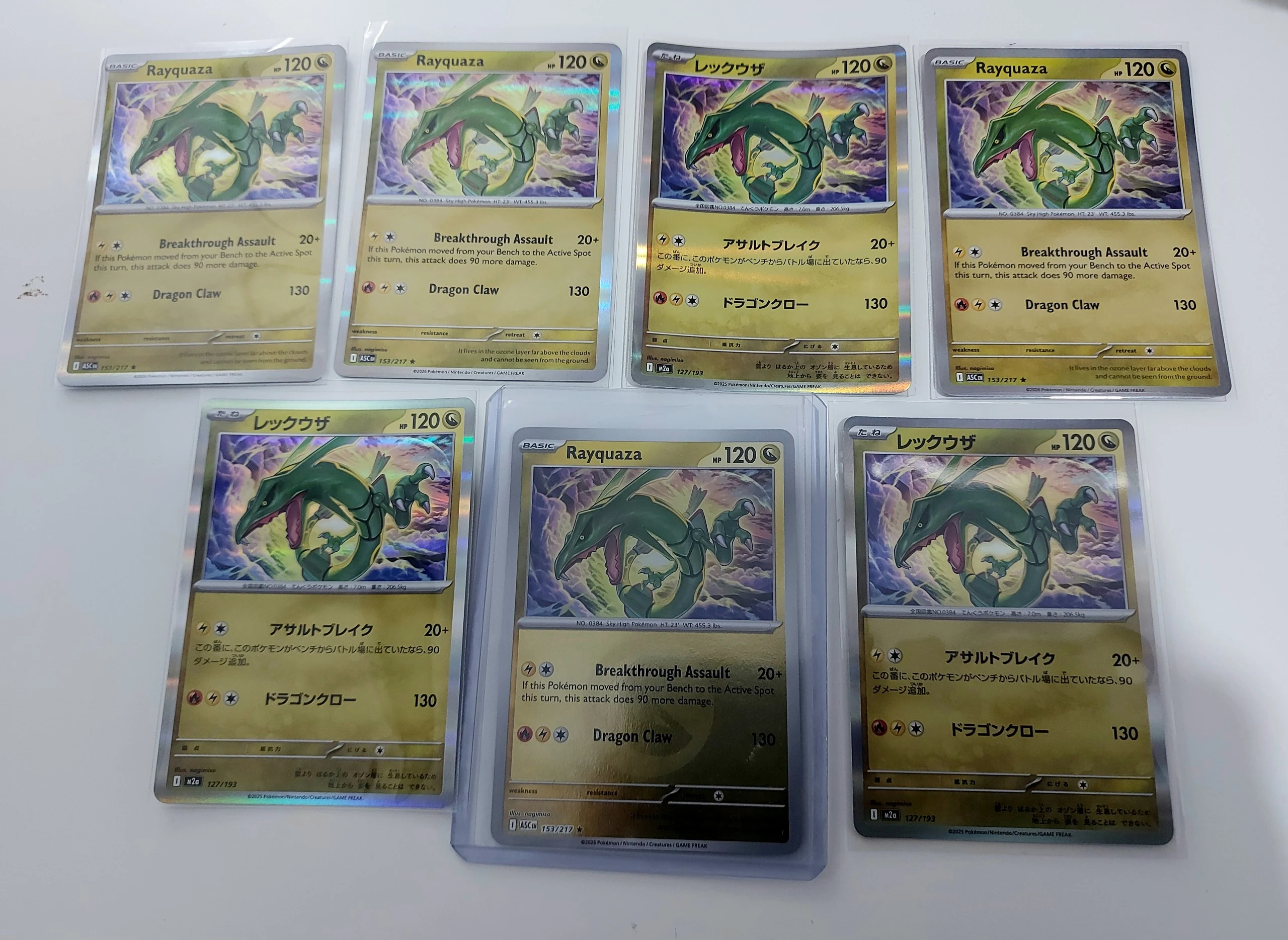 🐛Rayquaza lot image 1
