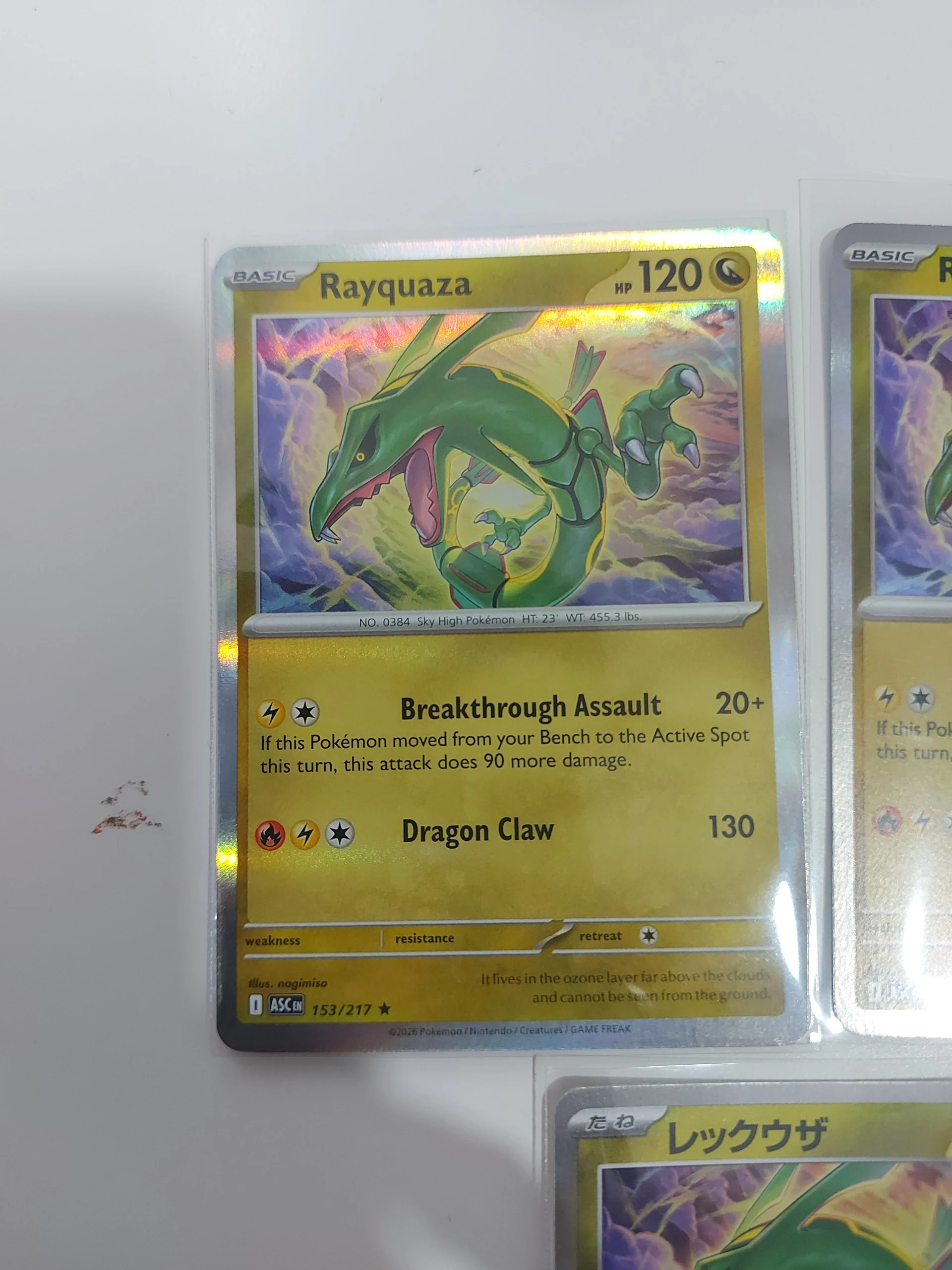 🐛Rayquaza lot image 4