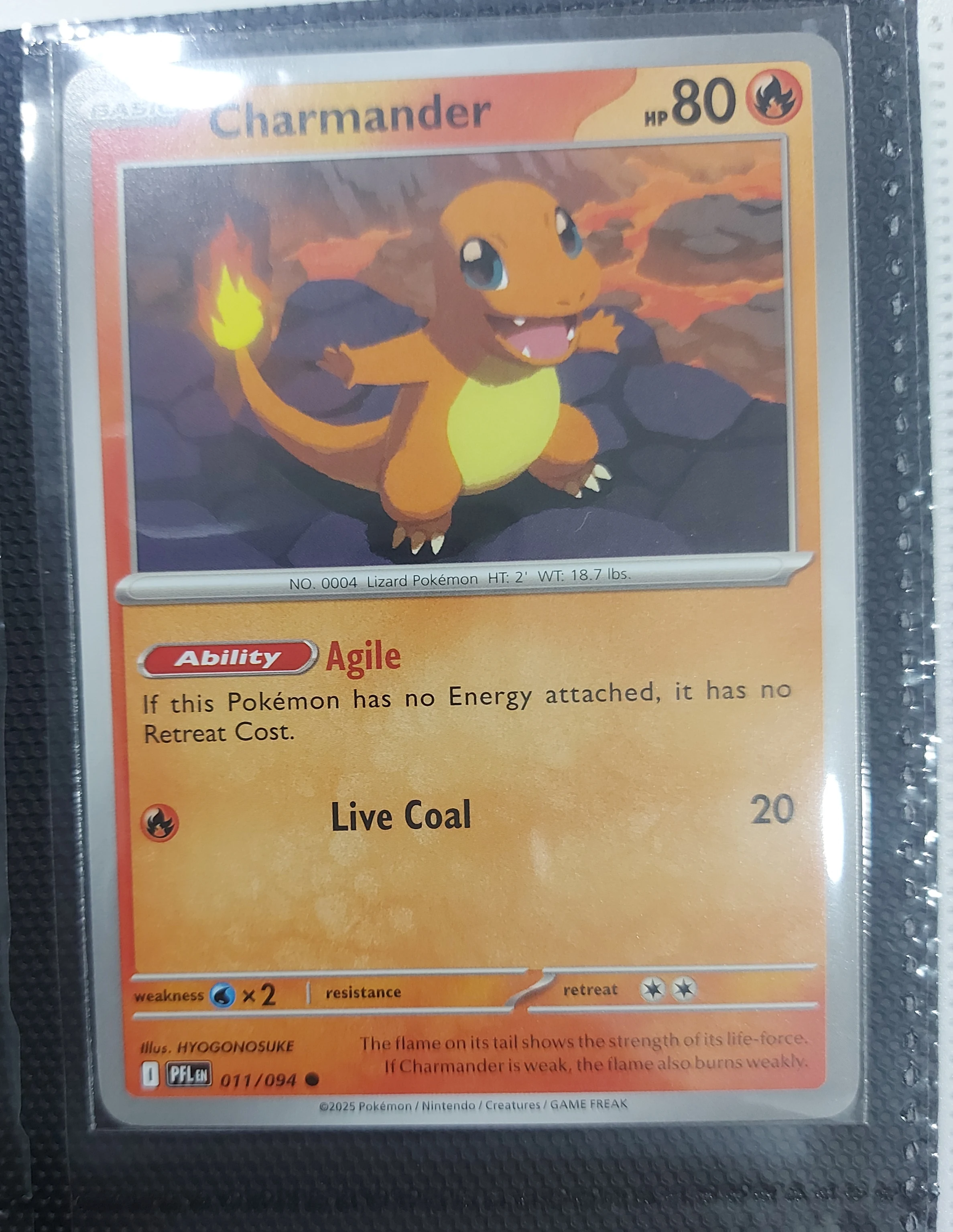 Charmander, charmeleon, charizard lot image 4