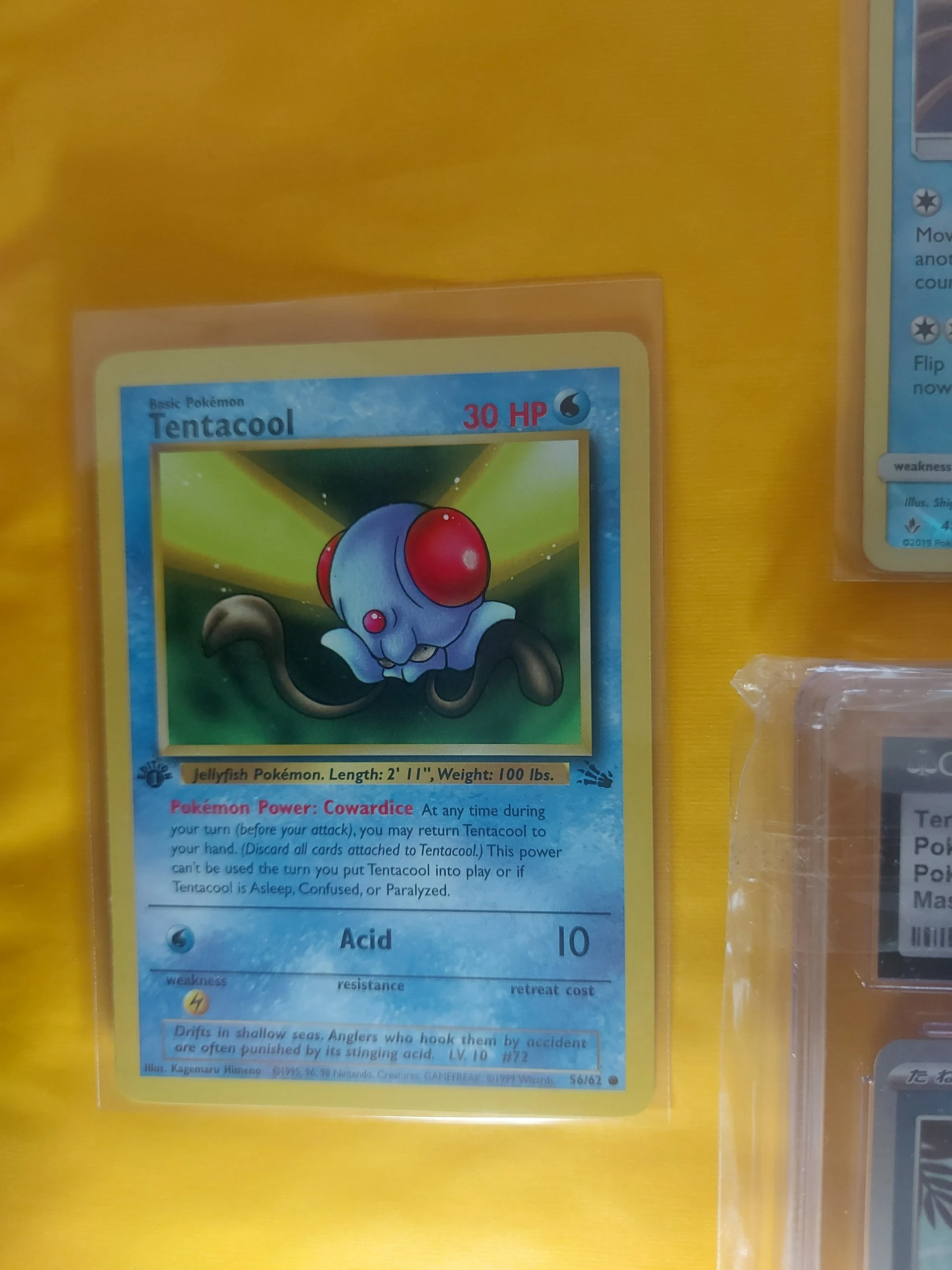 💧1st edition Tentacool lot image 4