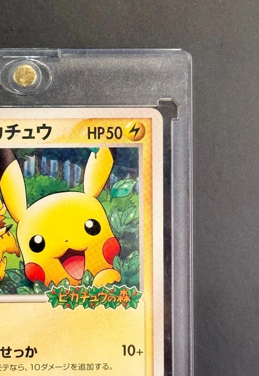 Pikachu PokéPark Promo image 3