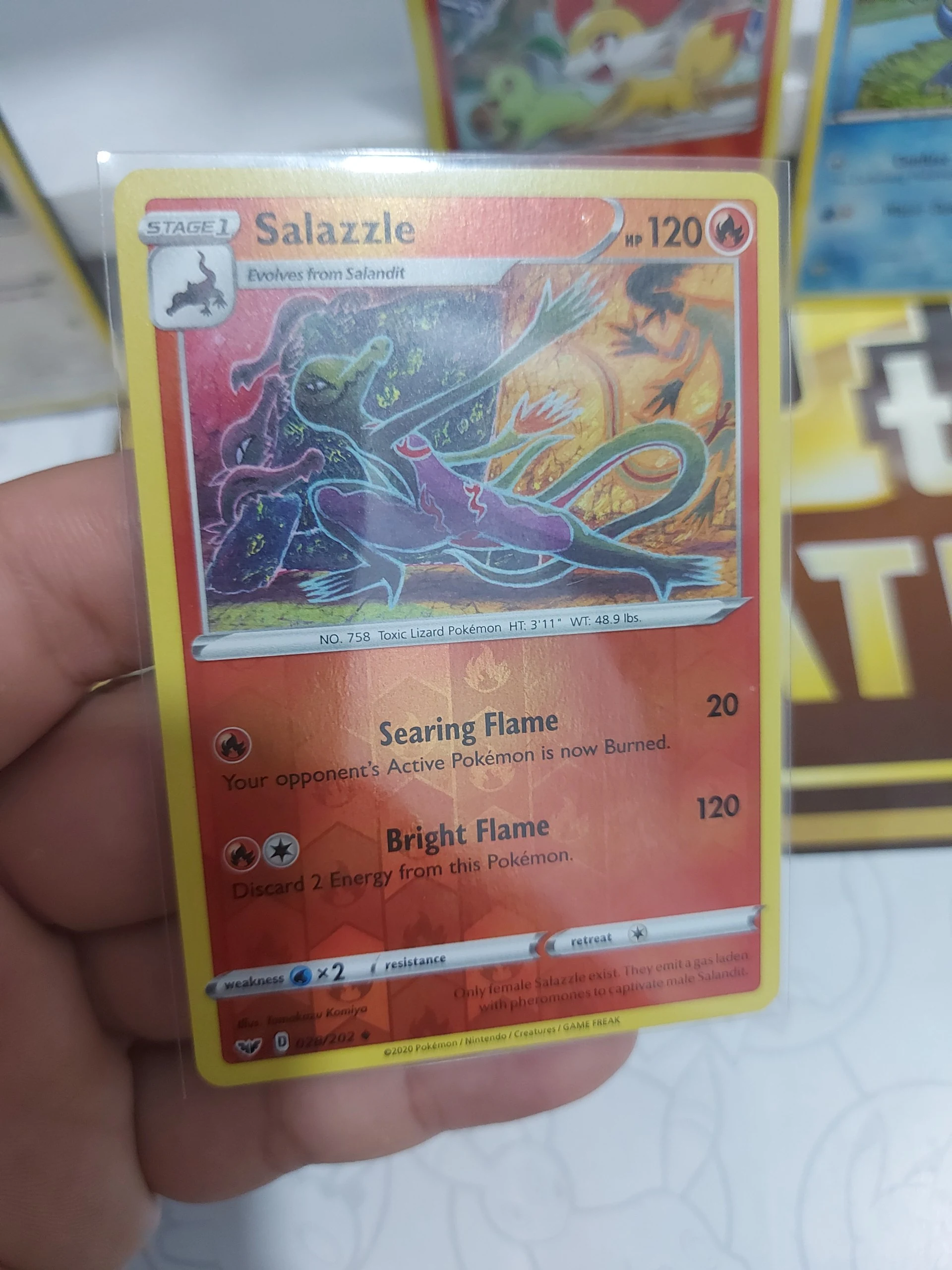 Vintage eevee bundle image 3