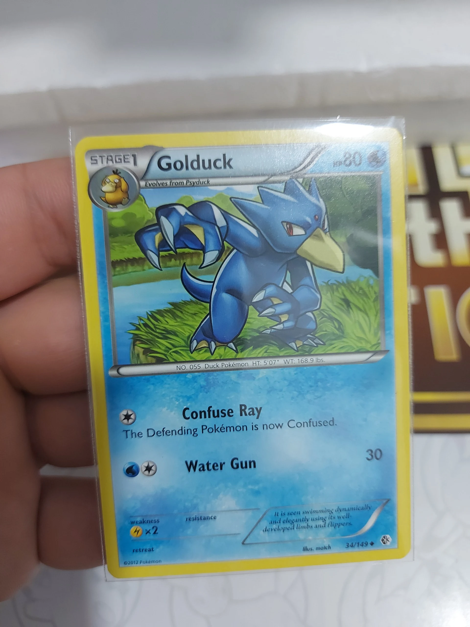 Vintage eevee bundle image 5