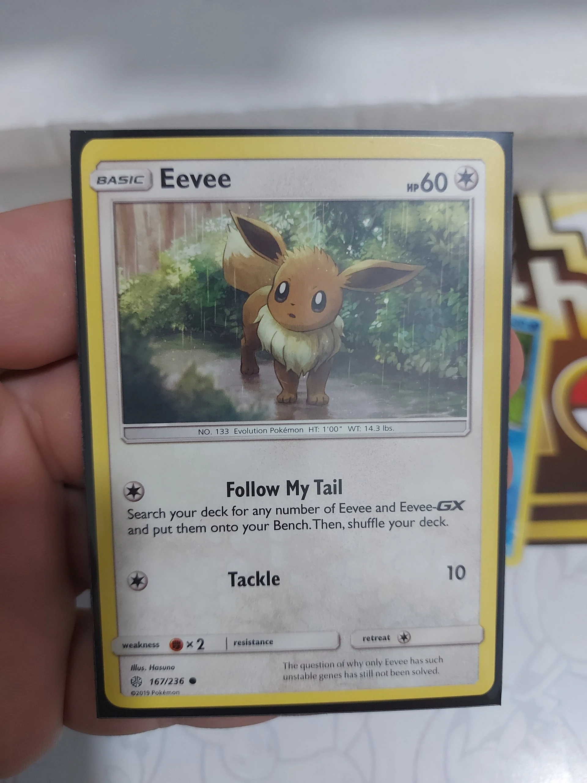 Vintage eevee bundle image 4