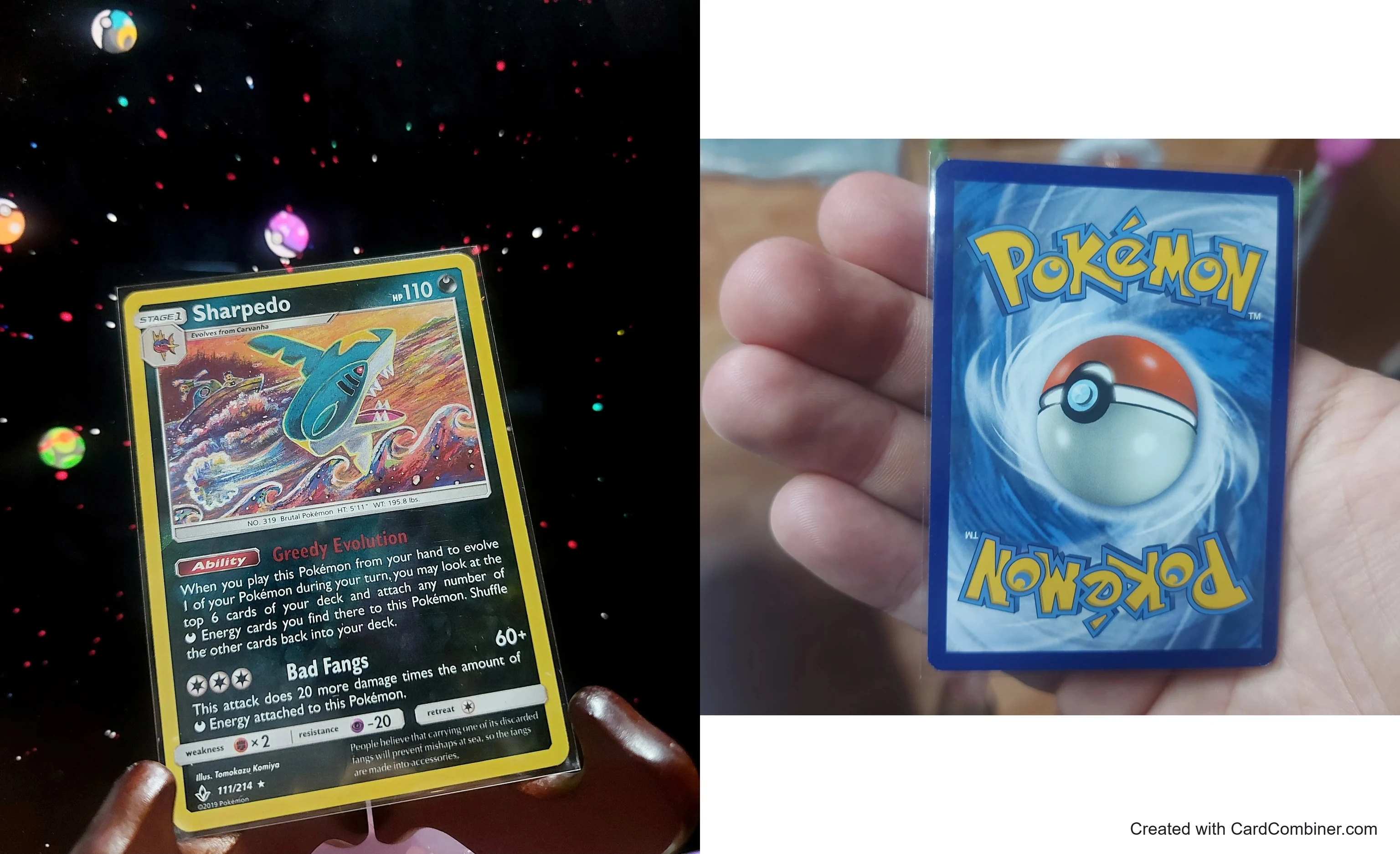 2019 Reverse holos lot: Azurill and Sharpedo image 4
