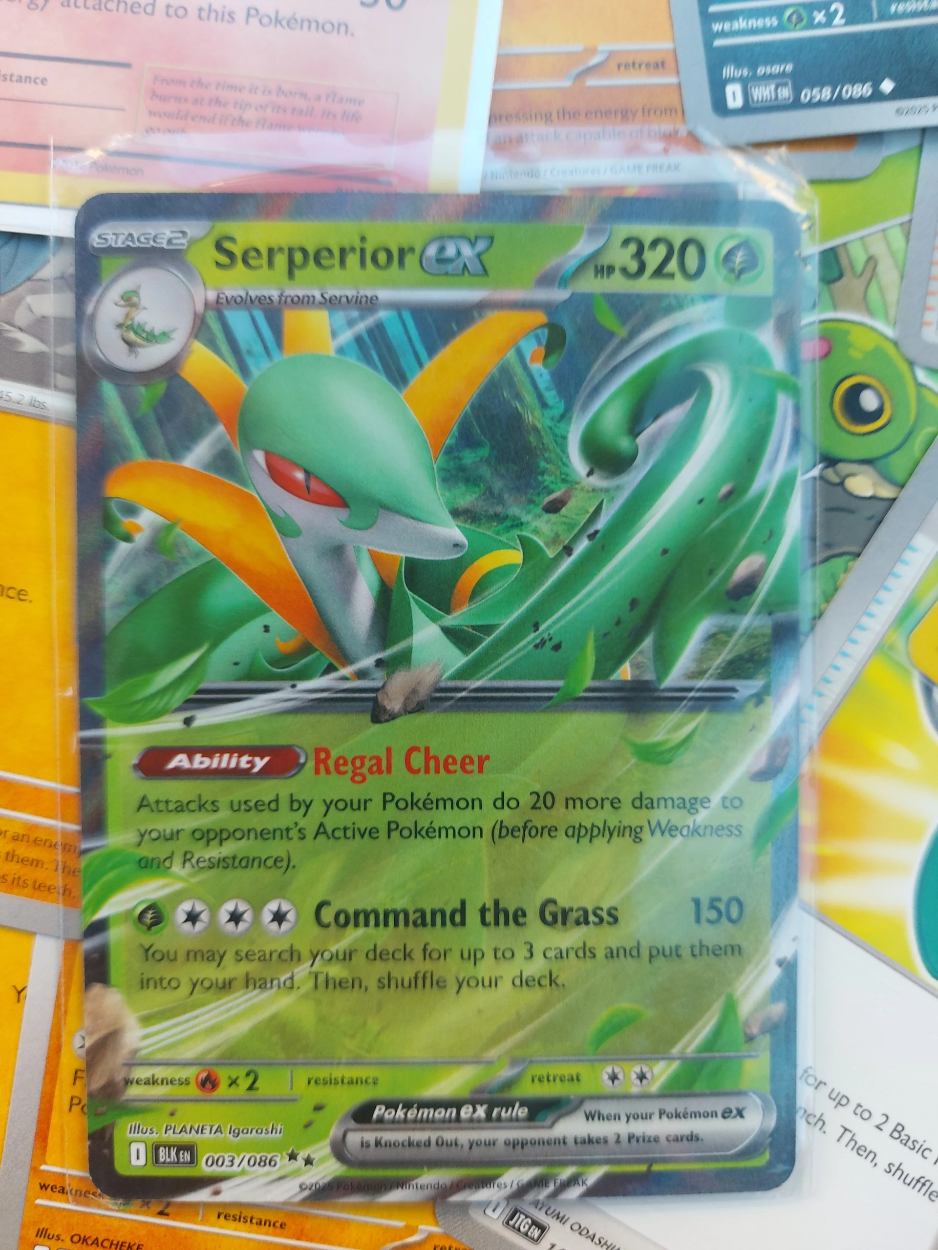 🔥Vintage Charmander lot: Fullart, ex, retro, vintage (×100 cards) image 4