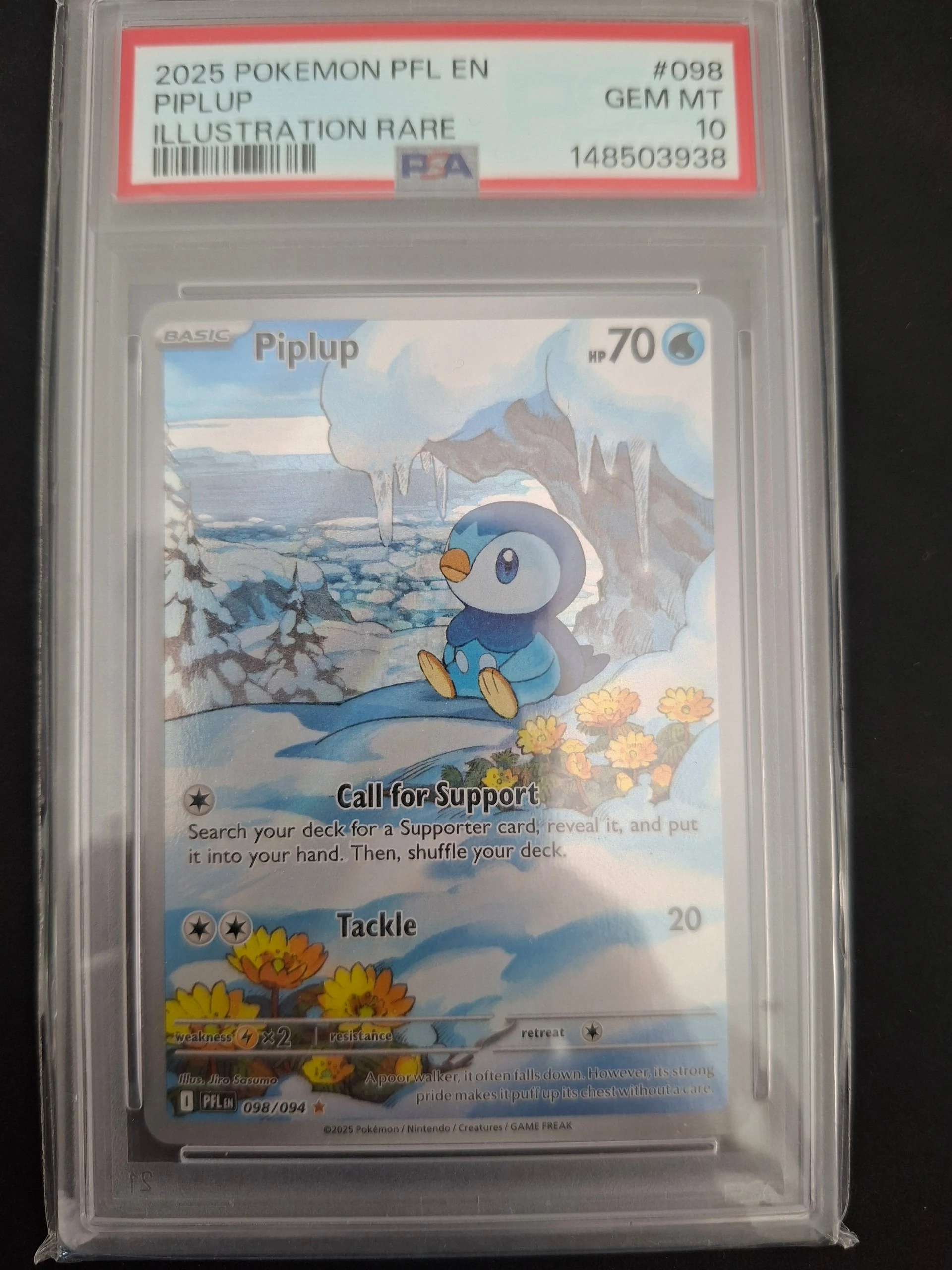 Piplup image 2