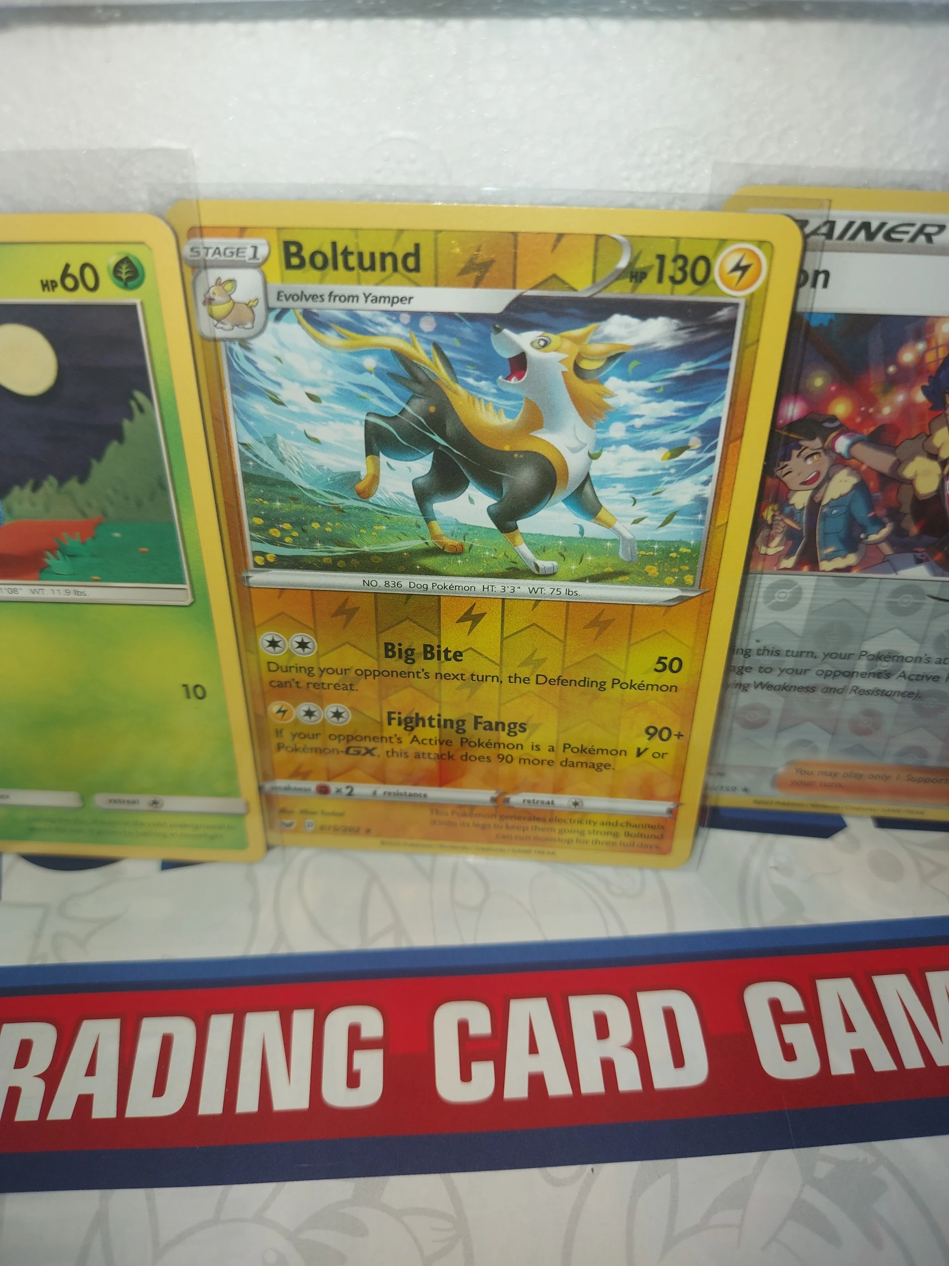 Oddish 2019 pokemon bundle image 4