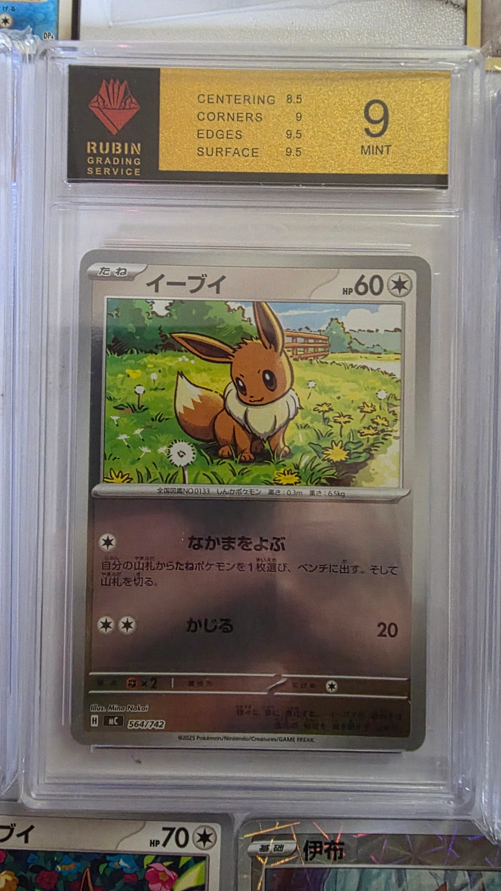 Pokémon Eevee & Eeveelutions Collection – 15 Cards, 3 Graded Slabs + Keychain image 3